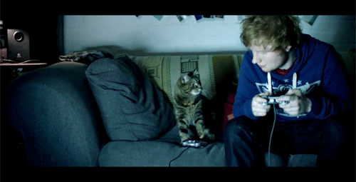 love friends video games