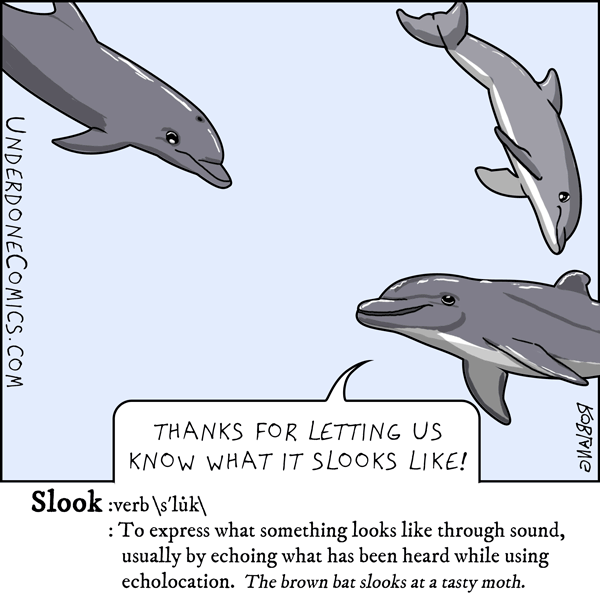 dolphins communication sonar