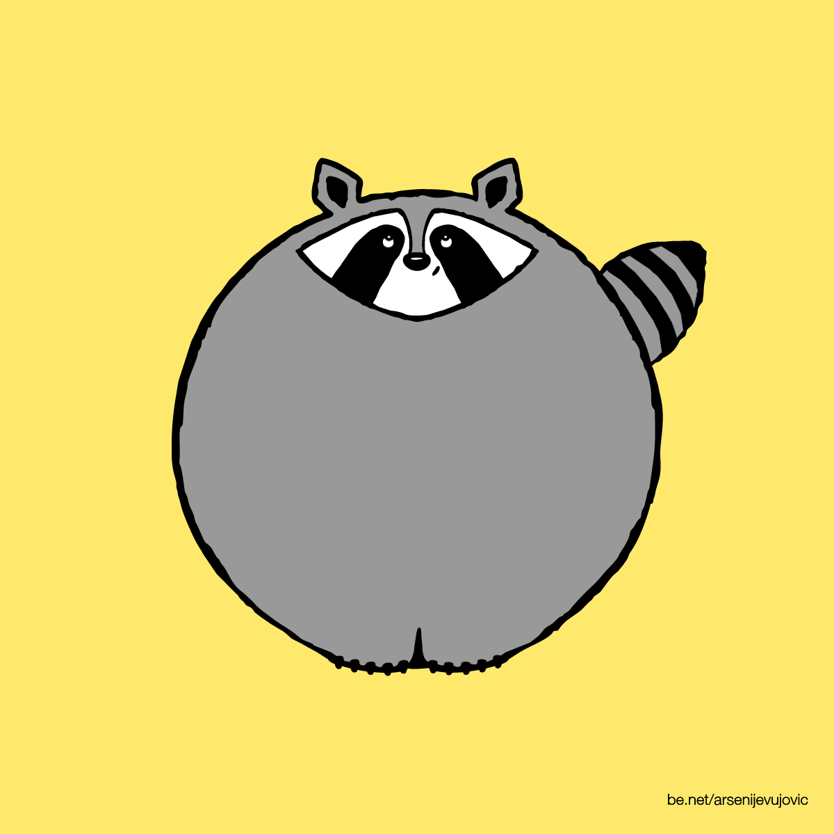 animation illustration raccoon