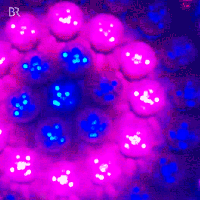 br oktoberfest wiesn muenchen