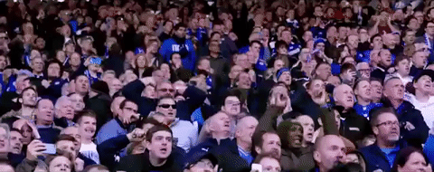 lcfc epl leicester city fc