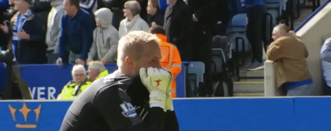 lcfc epl leicester city fc