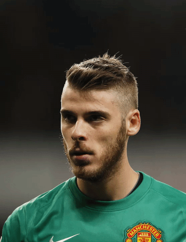 degea manutd football