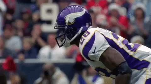 nfl minnesota vikings adrian peterson