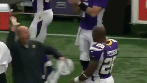 nfl minnesota vikings adrian peterson