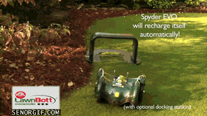 cheezburger other robots