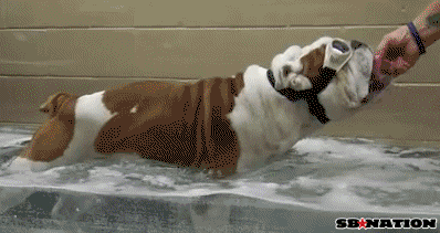 college wisconsin rookies