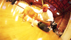 chris brown christopher maurice gif