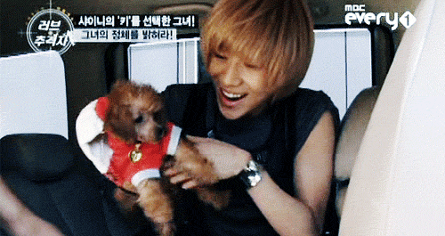 shinee puppy sweet