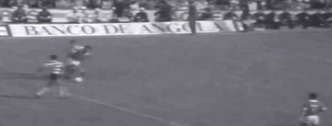 football soccer world cup