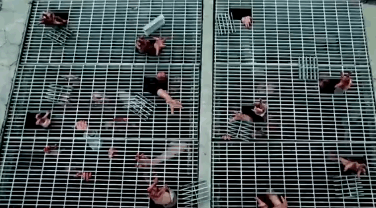 walking dead business