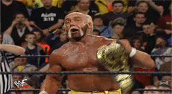 wwe hulk hogan