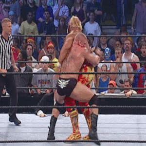 wwe hulk hogan brock lesnar