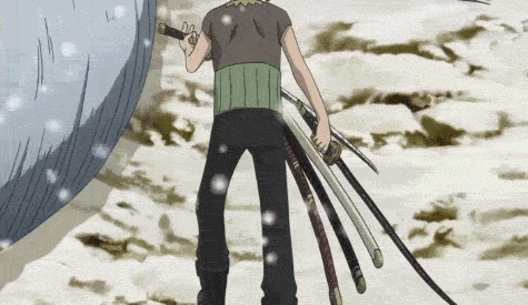 one piece roronoa zoro