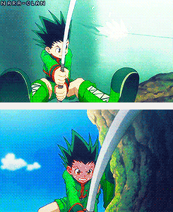 gon hunter x hxh