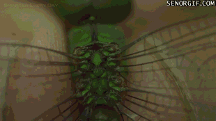 cheezburger funny video games slow motion