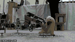 cheezburger spider robots