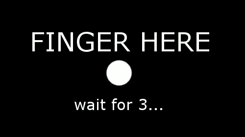 black and white animal adorable