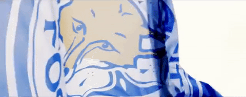 lcfc epl leicester city fc