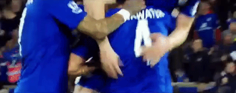 lcfc epl leicester city fc