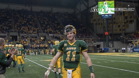 ndsuathletics bison ndsu north dakota state