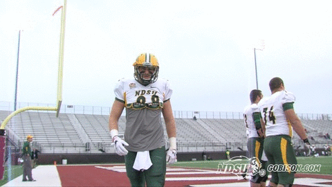 ndsuathletics bison ndsu north dakota state