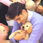 one direction zayn malik god bless