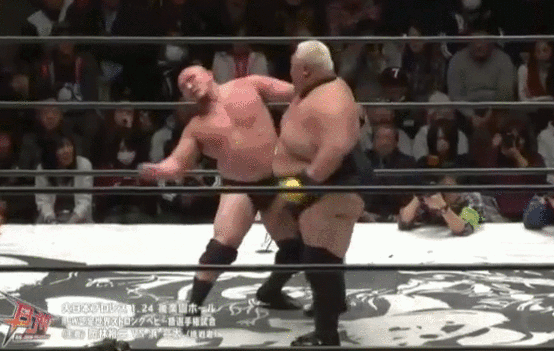 pro wrestling stunner fattest