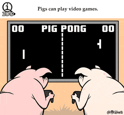 video games pig pong