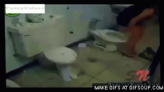 girls prank toilet