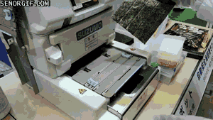 cheezburger food amazing