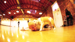 chris brown christopher maurice gif