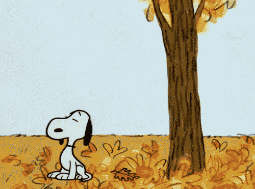 dog snoopy charlie brown thanksgiving