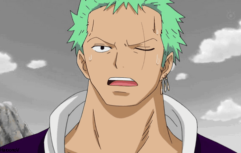 one piece roronoa zoro
