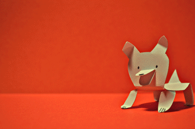 philipparice puppy paper