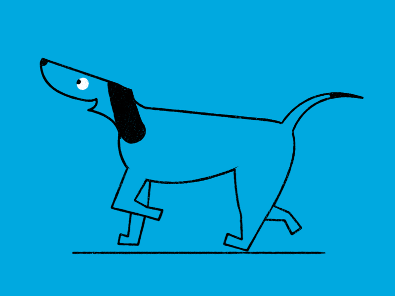 animation dog trot