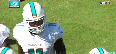 miami dolphins ryan tannehill mike wallace