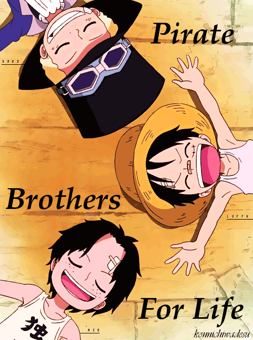 one piece luffy brothers