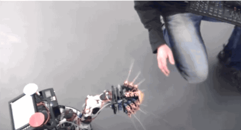 robots biomimicry biomimetics