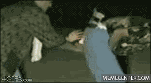 meme center manaise987