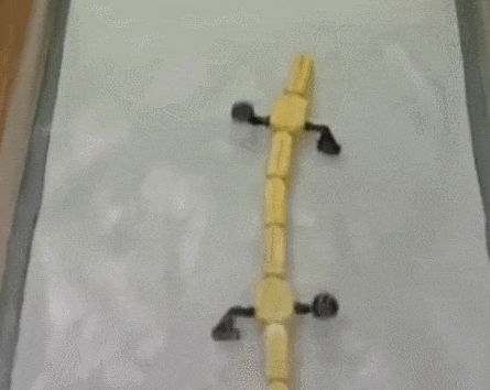 robot satisfying salamander