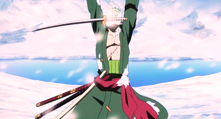 one piece roronoa zoro
