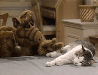 alf cat