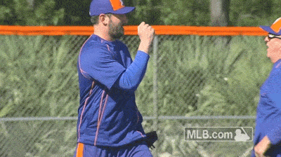 mlb baseball new york mets