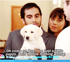 tom haverford funny