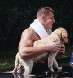 new england patriots gronk rob gronkowski