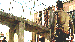 the walking dead welcome to tombs gif