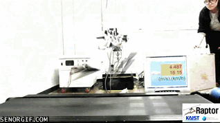 robot cheezburger cantreadmills