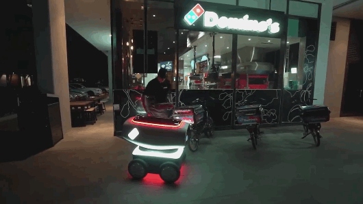 pizza dominoes robot