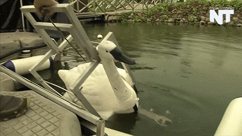 nowthisnews robot robots innovations